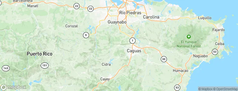 Aguas Buenas, Puerto Rico Map