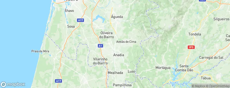 Avelãs de Caminho, Portugal Map