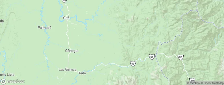 Bagadó, Colombia Map