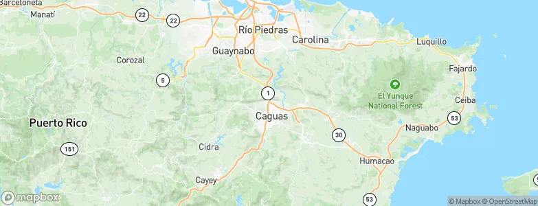 Bairoa, Puerto Rico Map