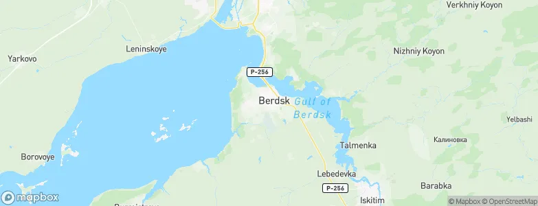 Berdsk, Russia Map