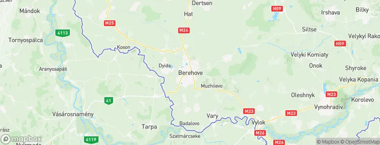 Berehove, Ukraine Map
