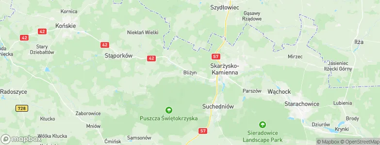 Bliżyn, Poland Map