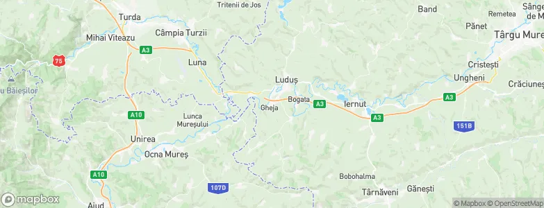 Bogata, Romania Map