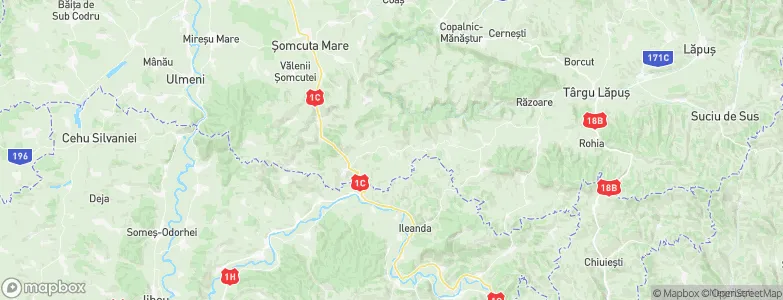 Boiu Mare, Romania Map