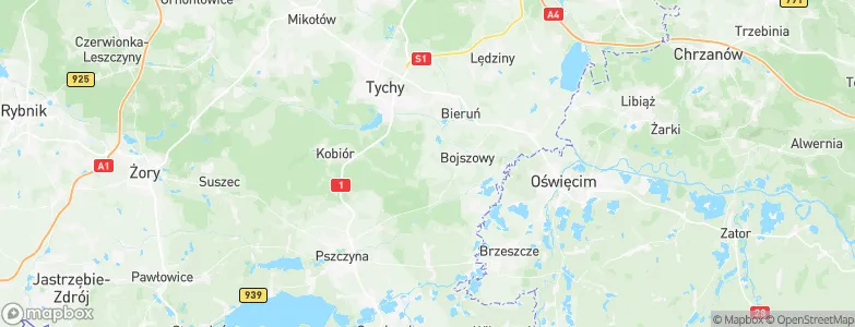 Bojszowy Nowe, Poland Map