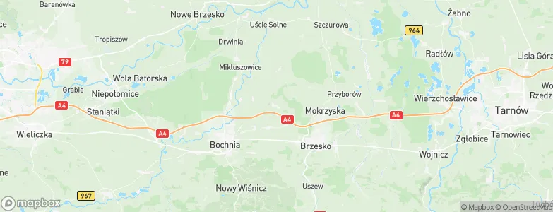 Borek, Poland Map