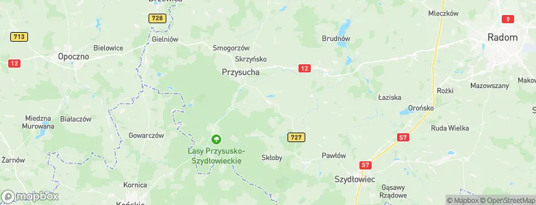 Borkowice, Poland Map