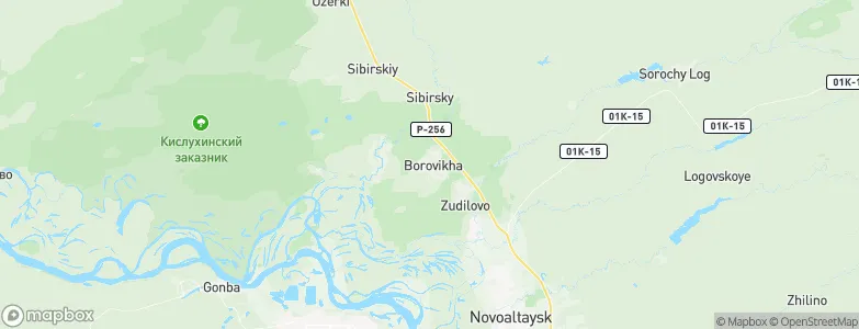 Borovikha, Russia Map