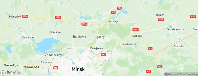 Borovlyany, Belarus Map