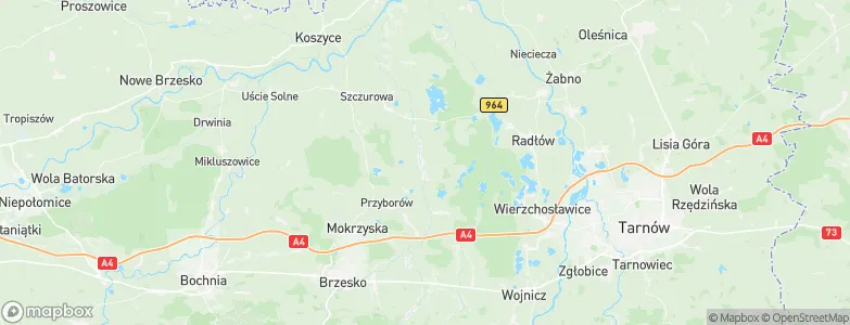 Borzęcin, Poland Map
