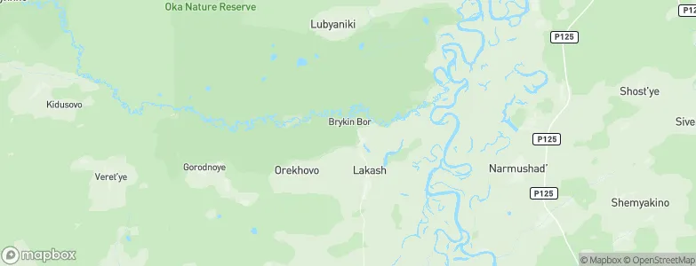 Brykin Bor, Russia Map