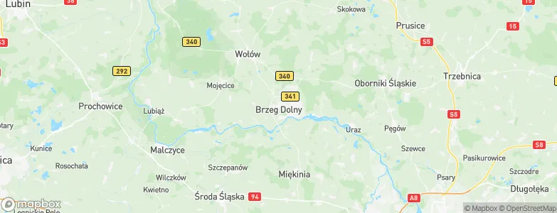 Brzeg Dolny, Poland Map