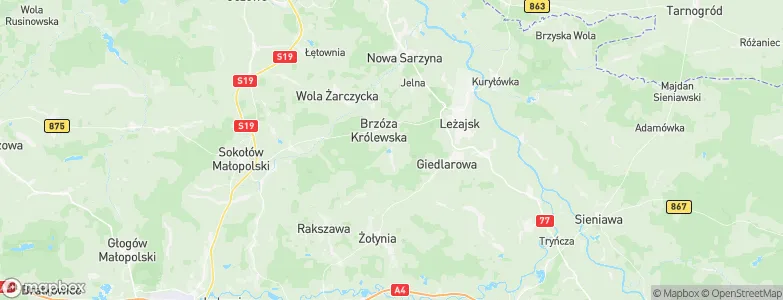 Brzóza Królewska, Poland Map