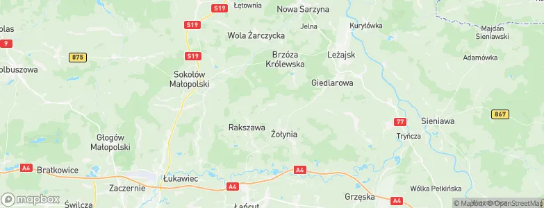 Brzóza Stadnicka, Poland Map