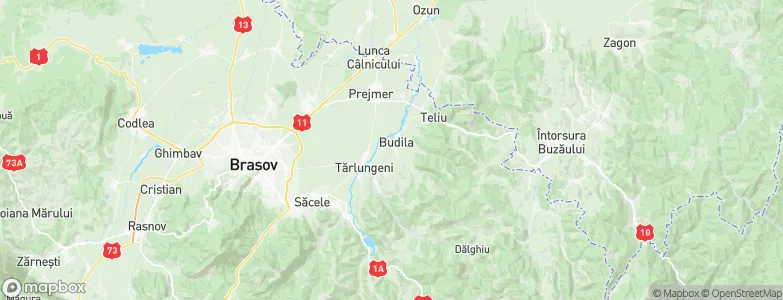 Budila, Romania Map