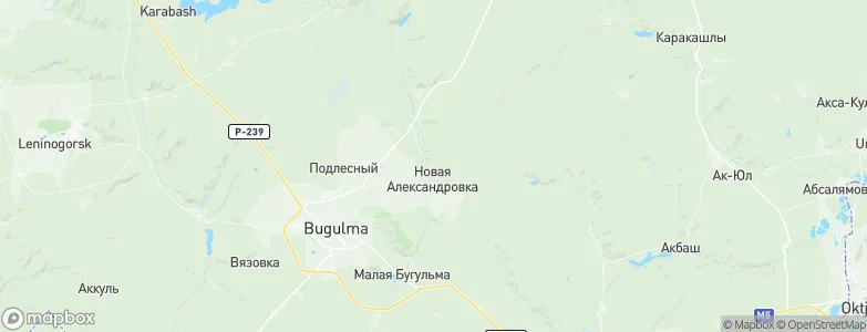 Bugulminsky District, Russia Map