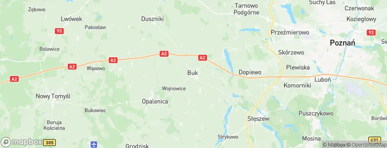 Buk, Poland Map