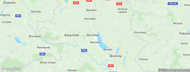 Burshtyn, Ukraine Map