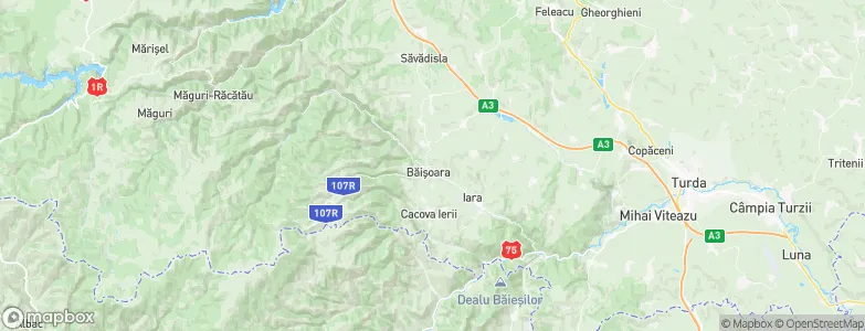 Băişoara, Romania Map