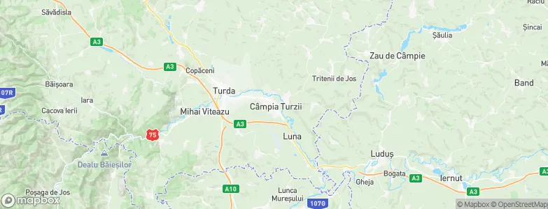 Câmpia Turzii, Romania Map