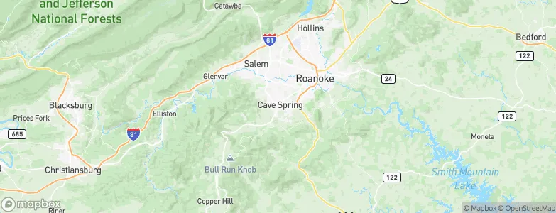 Cave Spring, United States Map