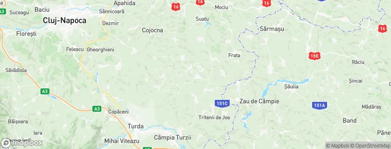Ceanu Mare, Romania Map