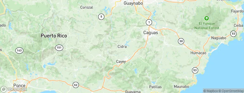 Cidra, Puerto Rico Map