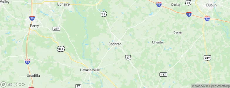 Cochran, United States Map