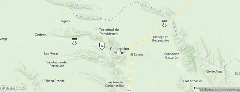 Concepción del Oro, Mexico Map