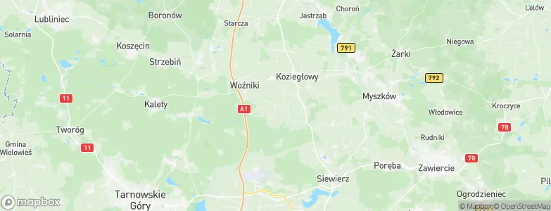 Cynków, Poland Map