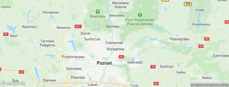 Czerwonak, Poland Map
