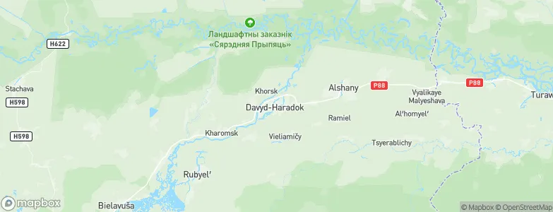 David-Gorodok, Belarus Map