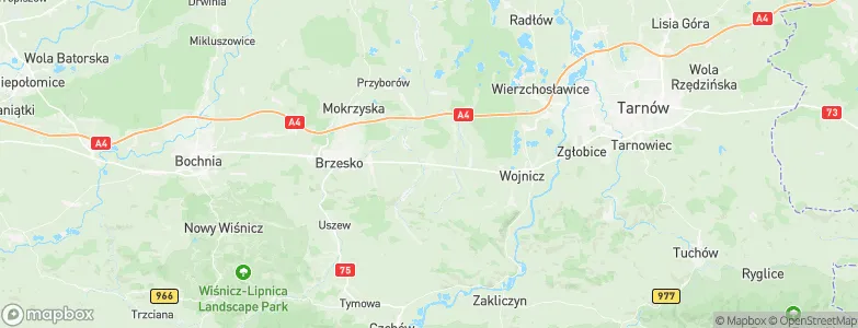 Dębno, Poland Map