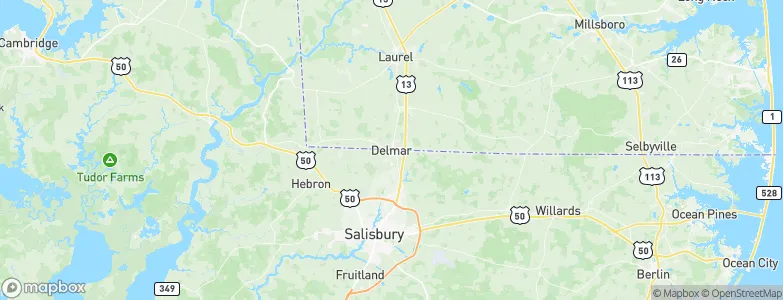 Delmar, United States Map