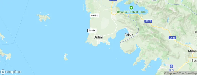 Didim, Turkey Map