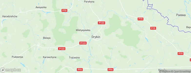 Drybin, Belarus Map