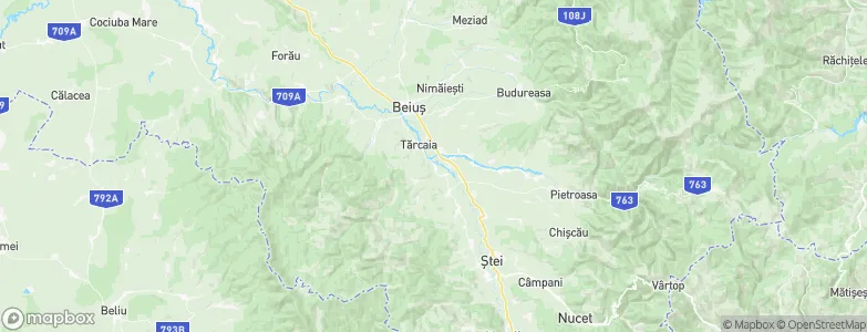 Drăgăneşti, Romania Map