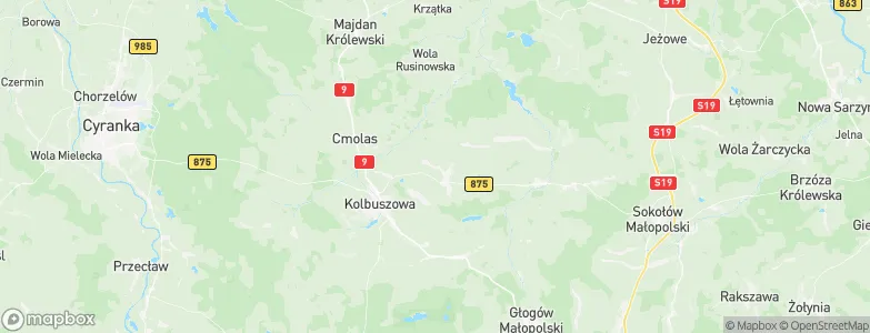 Dzikowiec, Poland Map