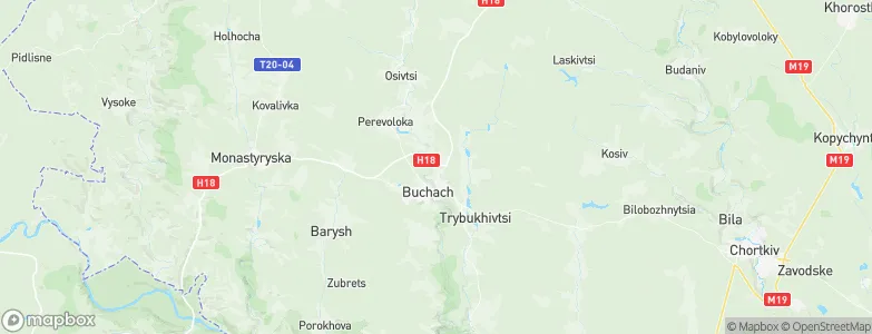 Dzvinogorod an der Strypa, Ukraine Map