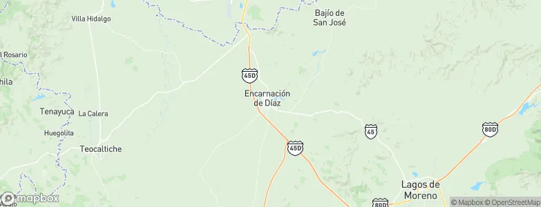 Encarnación de Díaz, Mexico Map