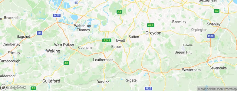 Epsom and Ewell District, United Kingdom Map