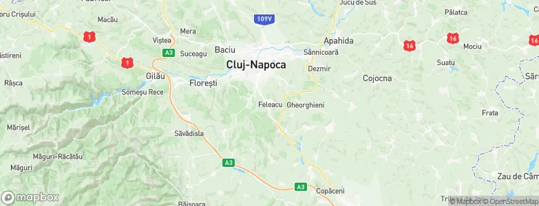 Feleacu, Romania Map