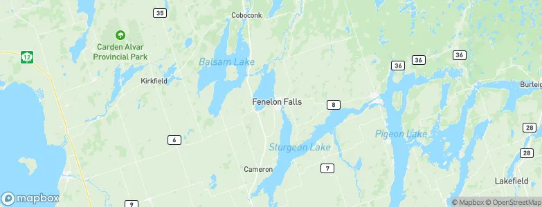Fenelon Falls, Canada Map