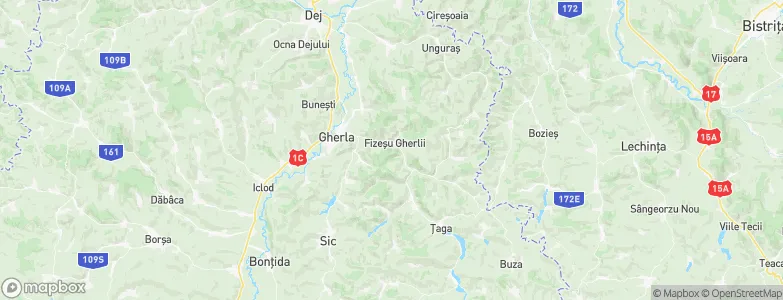 Fizeşu Gherlii, Romania Map