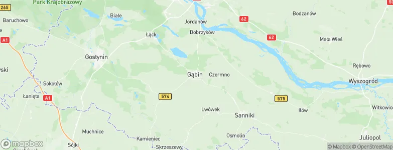 Gąbin, Poland Map