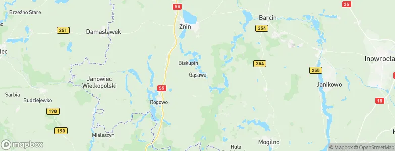Gąsawa, Poland Map