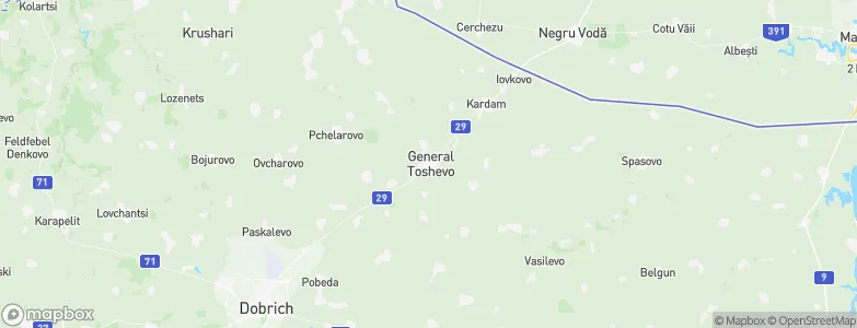 General Toshevo, Bulgaria Map