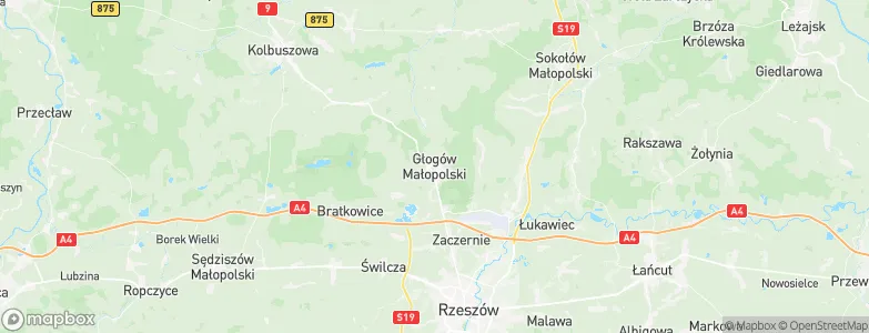Głogów Małopolski, Poland Map