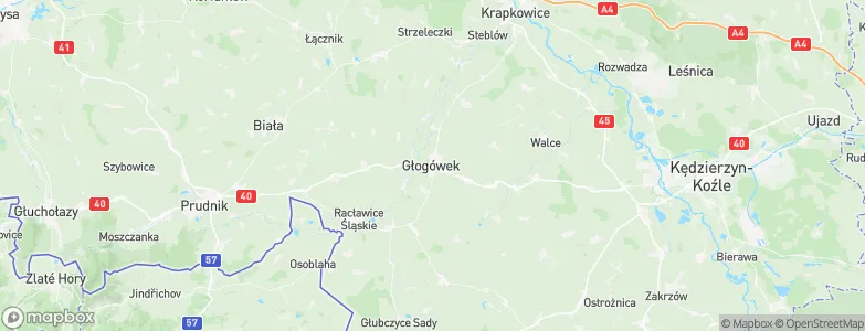 Głogówek, Poland Map